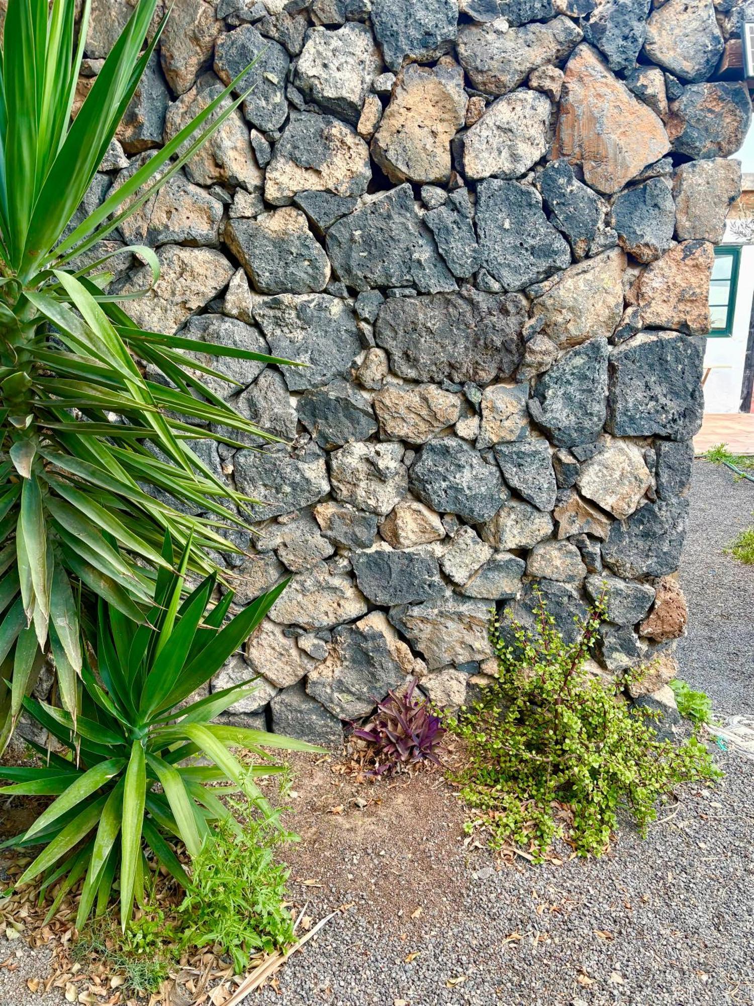 Villa Casa Munique à Teguise  Extérieur photo
